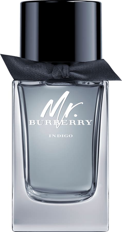 price for my burberry 3.3 oz indigo|mr Burberry indigo.